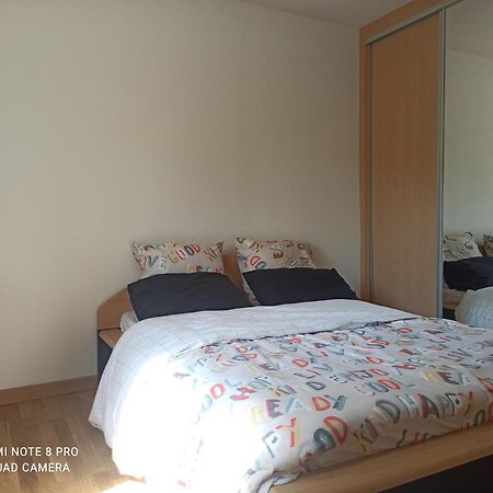 Super Appartement Avec Terasse Bischheim Luaran gambar