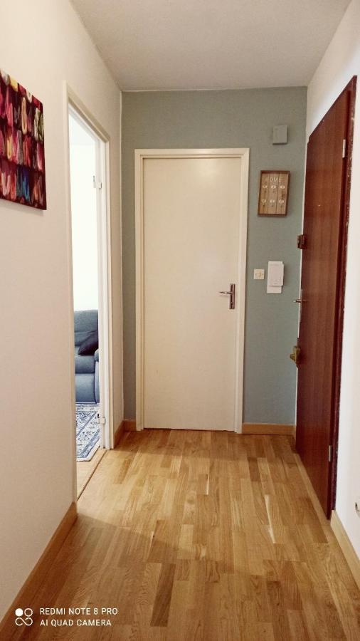 Super Appartement Avec Terasse Bischheim Luaran gambar